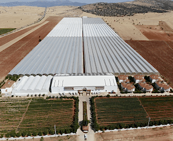 Special Design Greenhouse