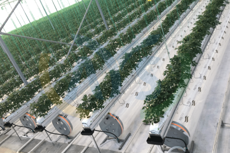 ays project greenhouses with cooling system