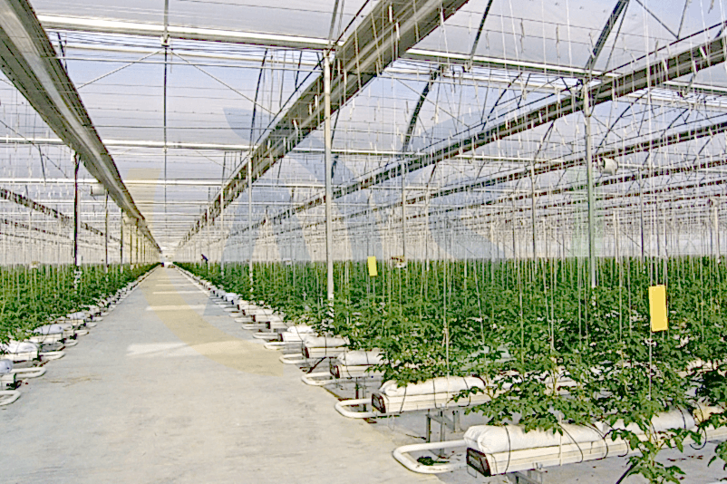 ays project Hydroponic Greenhouse Systems