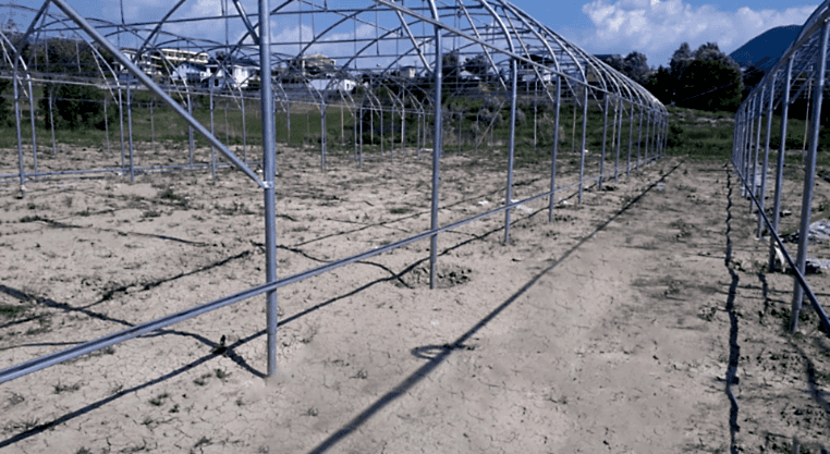 polyclima sogutmalı sera sistemleri 