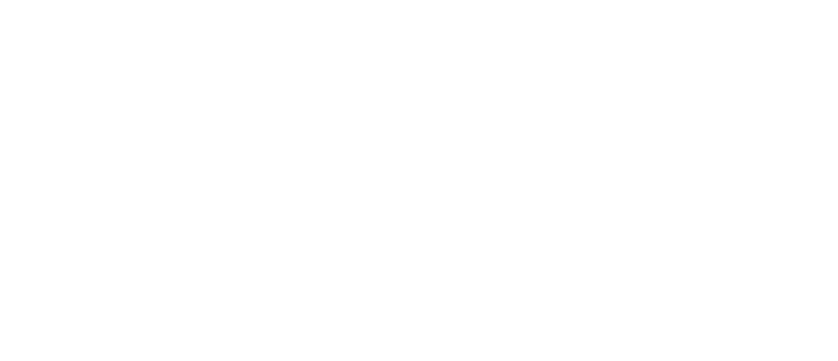 Ays Proje Footer Logo