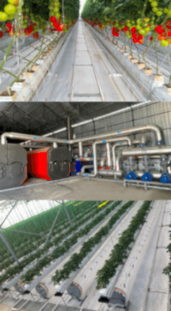 heating-and-cooling-system