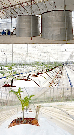 irrigation-fertilizer-systems