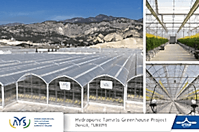 Рейсаш Холдинг завершил строительство высокотехнологичной томатной теплицы с геотермальным отоплением в Денизли