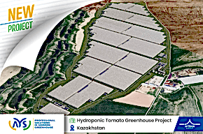  Our 105-hectare high-tech soilless tomato greenhouse project has started in Kazakhstan.
