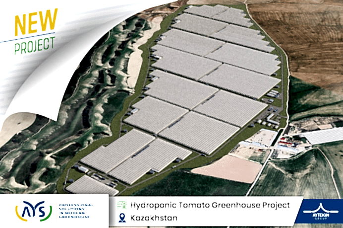 Our 105-hectare high-tech soilless tomato greenhouse project has started in Kazakhstan.