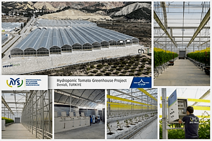 We have successfully completed our geothermal-heated, high-tech soilless tomato greenhouse project in Denizli for Reysaş Holding.