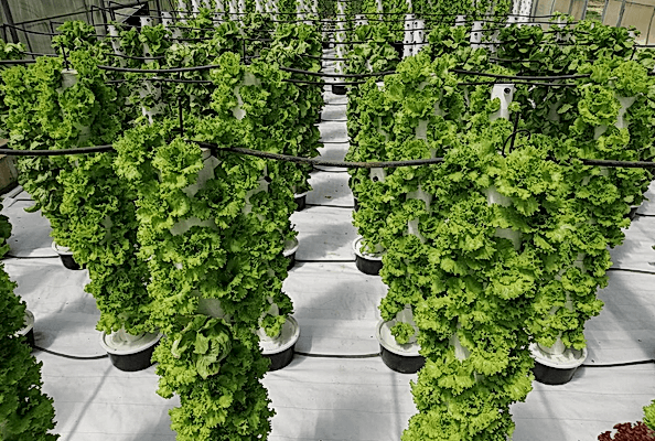 Vertical Agricultural Tower Systems
