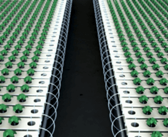 nft system, nft irrigation, drip irrigation