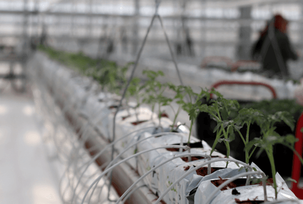 irrigation fertilizer systems