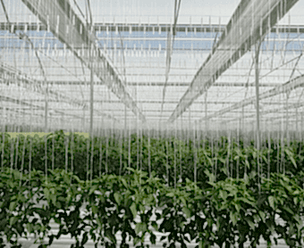 hanger wire system, stand systems, floor systems, cockpit, rockwool