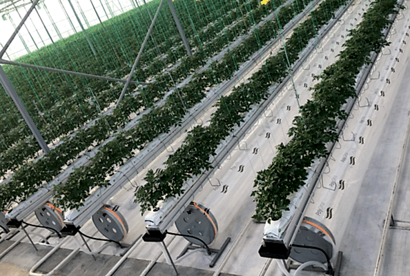 polyclima Evaporative, one hundred percent yield 