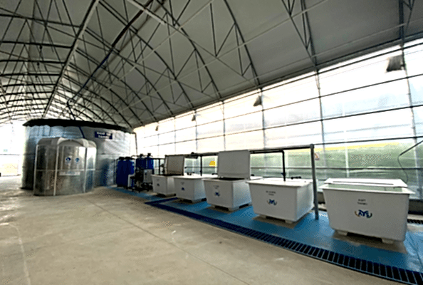 rider irrigation, fertimix go, machine